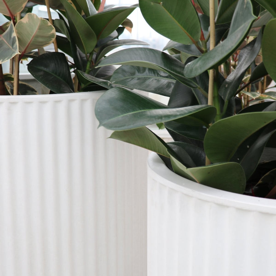 East Hampton White Ribbed Cylinder Concrete Pot - Small