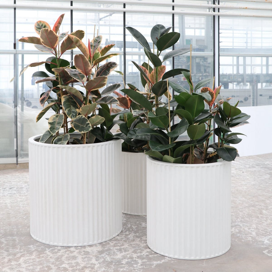 East Hampton White Ribbed Cylinder Concrete Pot - Small
