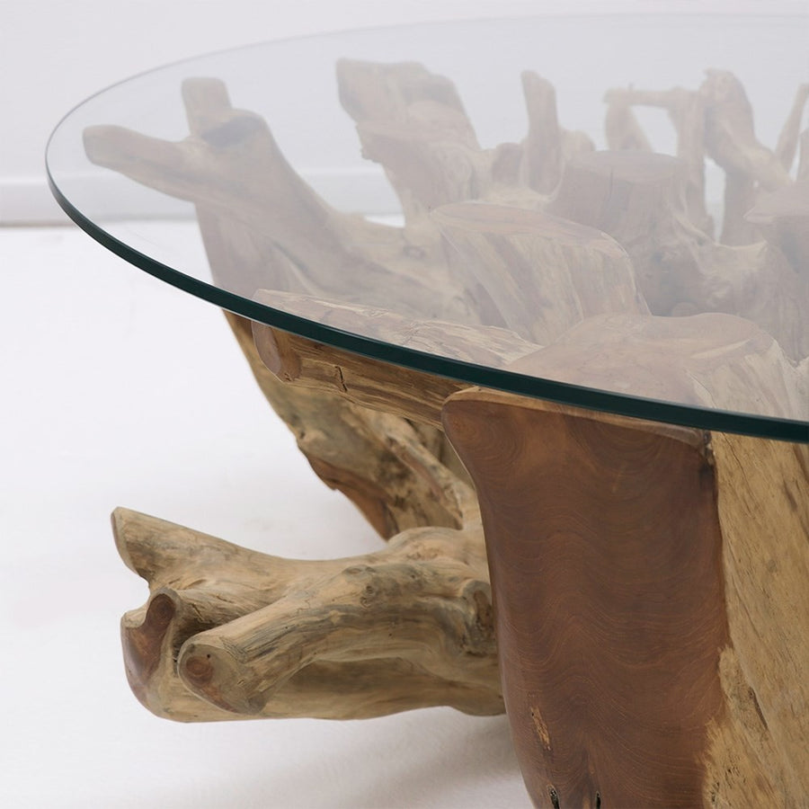 Teak Tree Root Coffee Table - Round