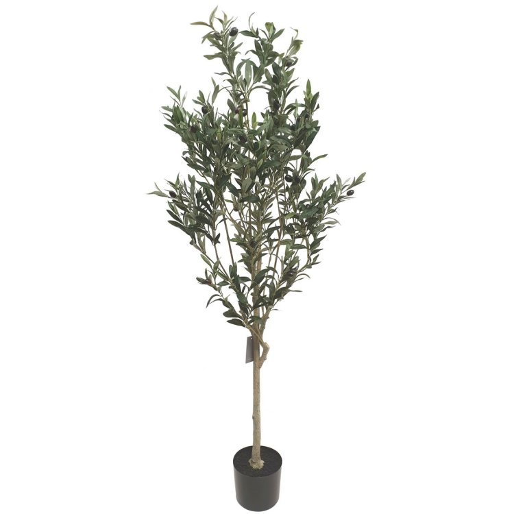 Faux Potted Olive Tree - 1.5 Metres Tall