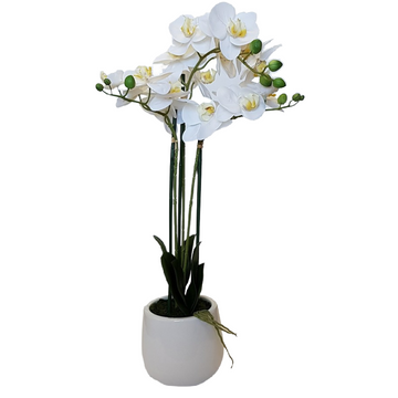 Faux Potted Phalaenopsis Orchid - 3 Spray
