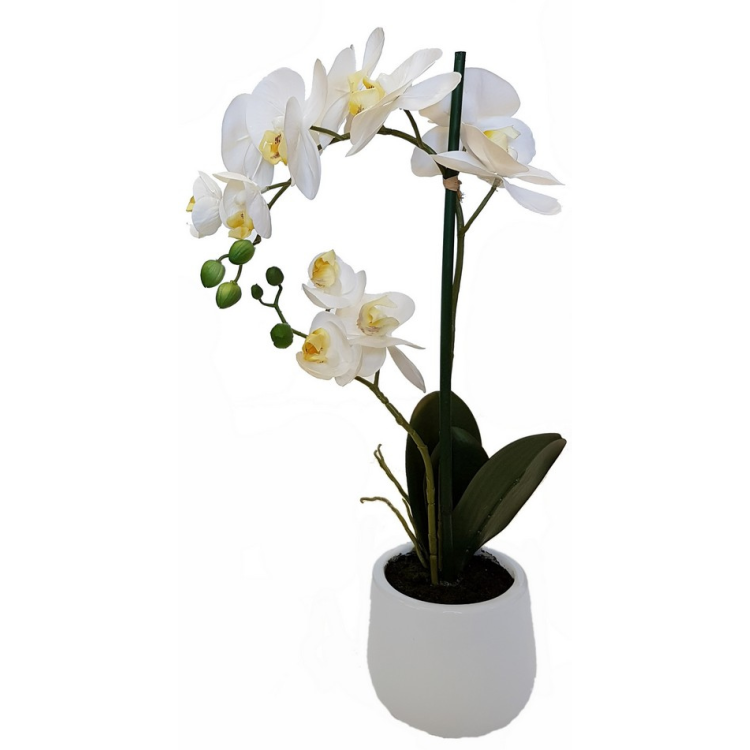Faux Potted Phalaenopsis Orchid - 2 Spray