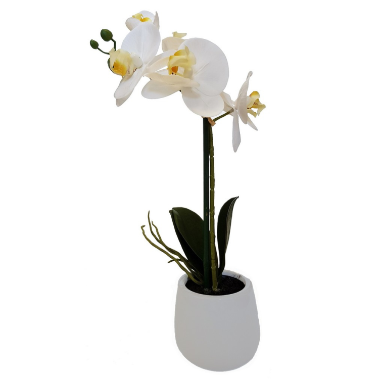 Faux Potted Phalaenopsis Orchid - 1 Spray